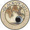 Black Pearl Maritime Security